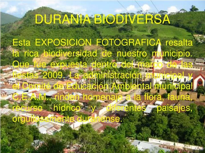 durania biodiversa