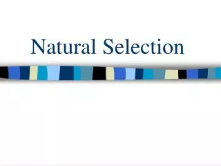 natural selection