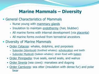 Marine Mammals – Diversity
