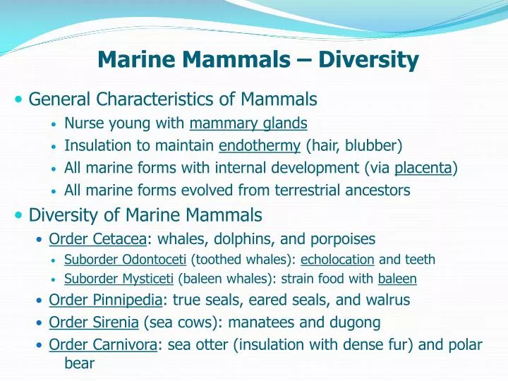 marine mammals diversity