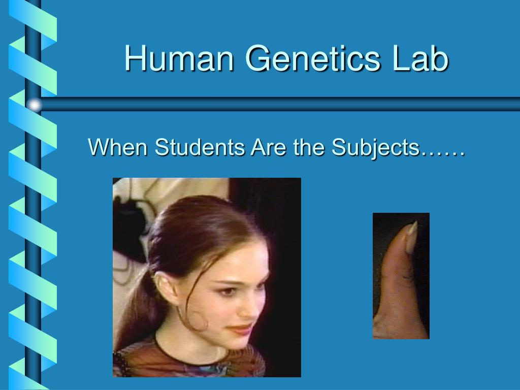PPT - Human Genetics Lab PowerPoint Presentation, free download - ID:647355