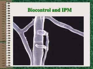 Biocontrol and IPM