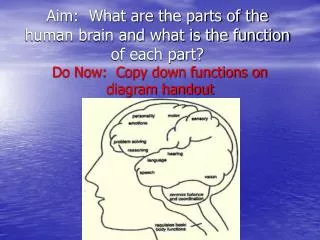 Aim: What are the parts of the human brain and what is the function of each part?