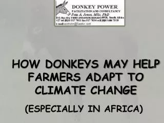 HOW DONKEYS MAY HELP FARMERS ADAPT TO CLIMATE CHANGE