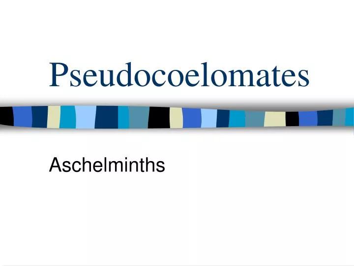 pseudocoelomates