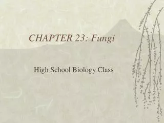 CHAPTER 23: Fungi