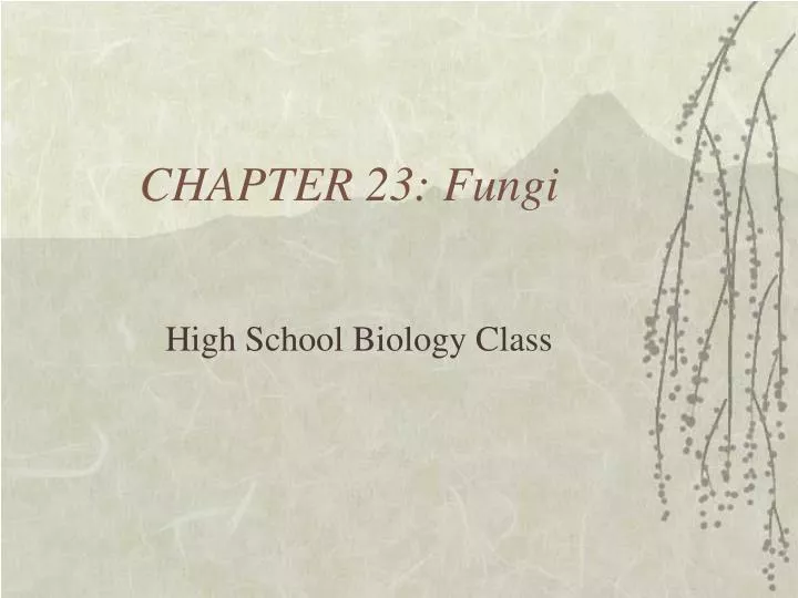 chapter 23 fungi