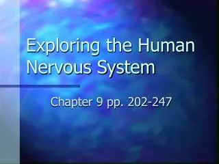 Exploring the Human Nervous System