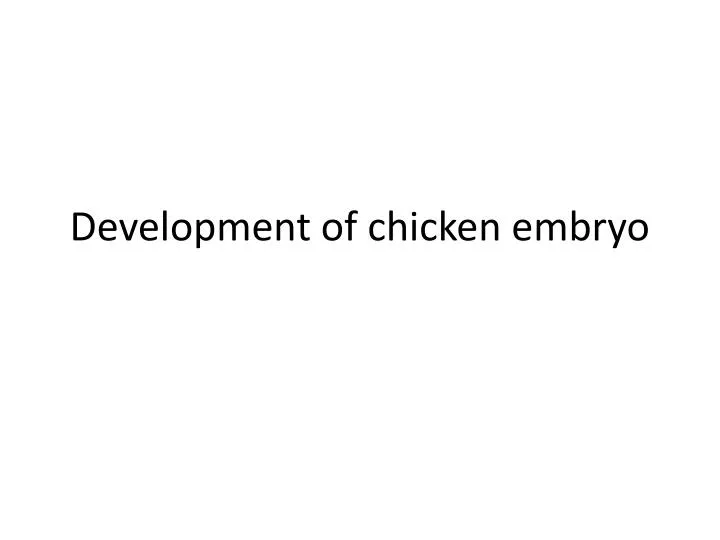 development of chicken embryo