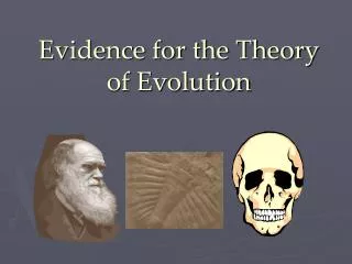 Evidence for the Theory of Evolution