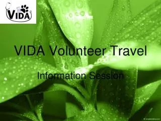 VIDA Volunteer Travel