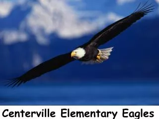 Centerville Elementary Eagles