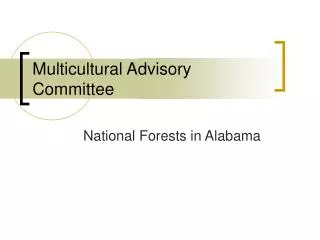 Multicultural Advisory Committee