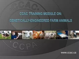 CCAC TRAINING MODULE ON: GENETICALLY-ENGINEERED FARM ANIMALS