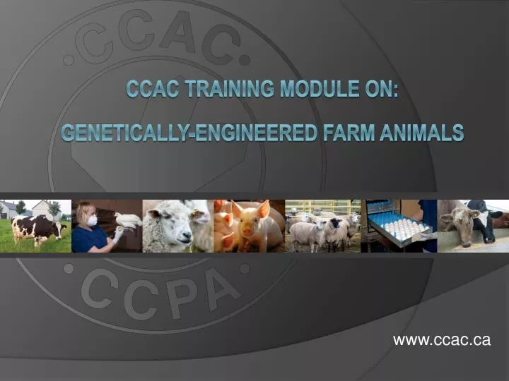 ccac training module on genetically engineered farm animals