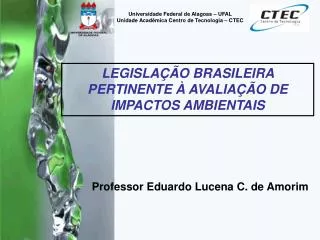 Professor Eduardo Lucena C. de Amorim