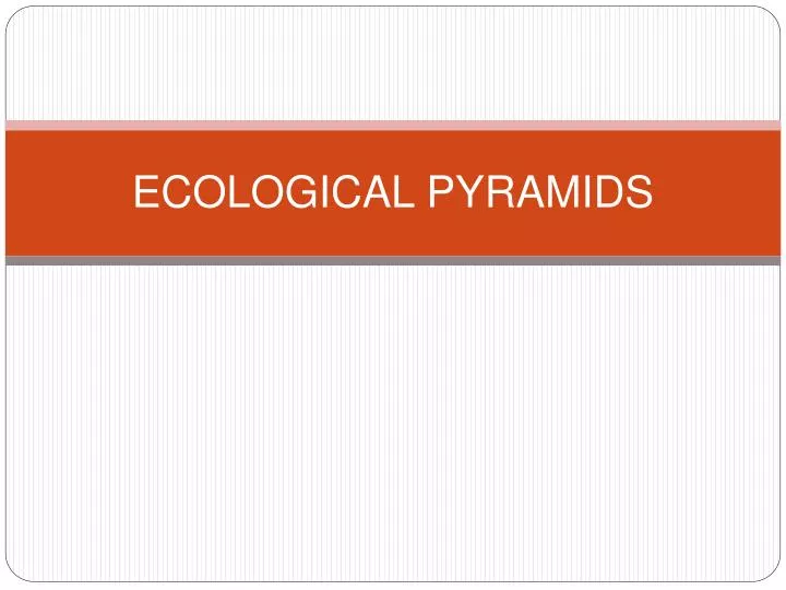 ecological pyramids
