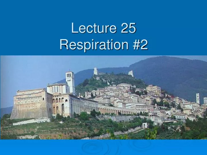 lecture 25 respiration 2