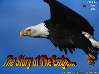 The Story of The Eagle…