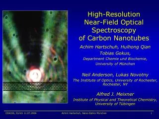 High-Resolution Near-Field Optical Spectroscopy of Carbon Nanotubes