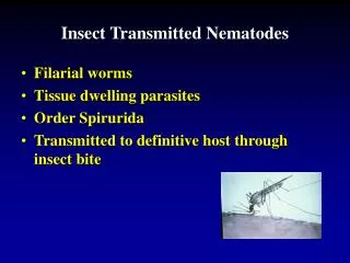 Insect Transmitted Nematodes