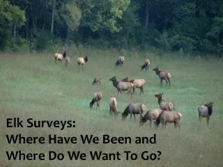 Elk Surveys: Where Have We Been and Where Do We Want To Go?