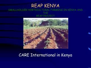 REAP KENYA SMALLHOLDER HORTICULTURAL FARMING IN KENYA AND THE REAP PROJECT