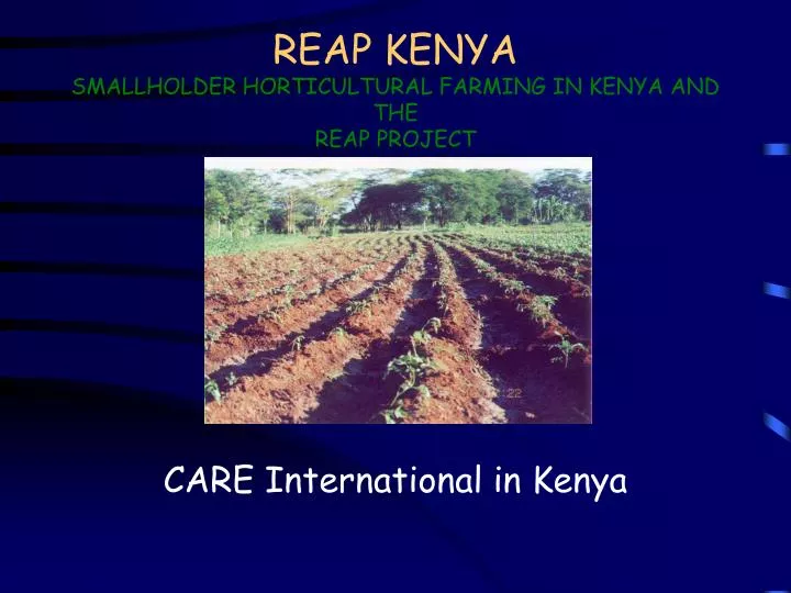 reap kenya smallholder horticultural farming in kenya and the reap project