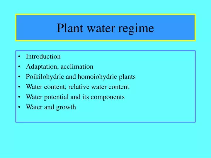 plant water regime