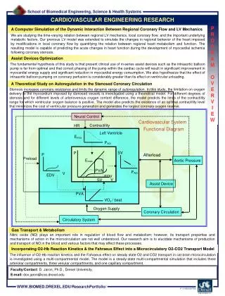 A Computer Simulation of the Dynamic Interaction Between Regional Coronary Flow and LV Mechanics