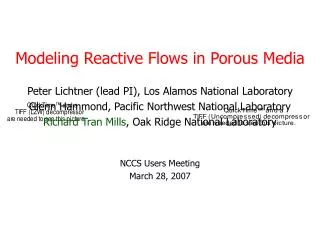Modeling Reactive Flows in Porous Media
