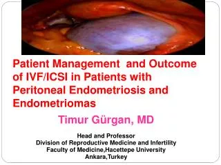 Patient Management and Outcome of IVF/ICSI in Patients with Peritoneal Endometriosis and Endometriomas