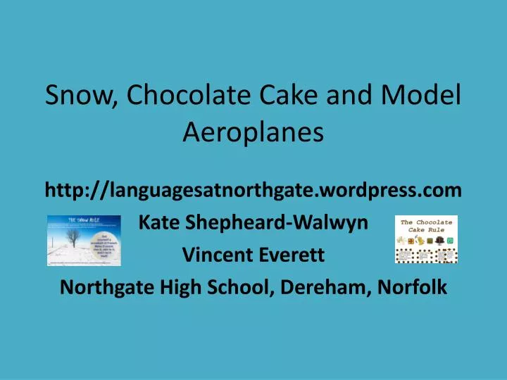 snow chocolate cake and model aeroplanes