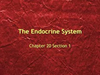 The Endocrine System