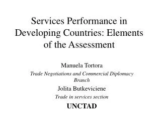 Services Performance in Developing Countries: Elements of the Assessment