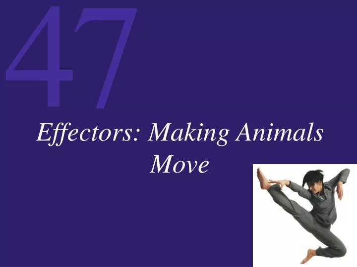 effectors making animals move