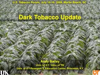 Dark Tobacco Update