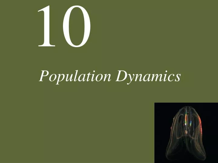 population dynamics