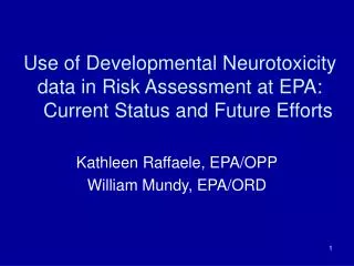 Use of Developmental Neurotoxicity data in Risk Assessment at EPA: Current Status and Future Efforts