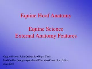 Equine Hoof Anatomy Equine Science External Anatomy Features