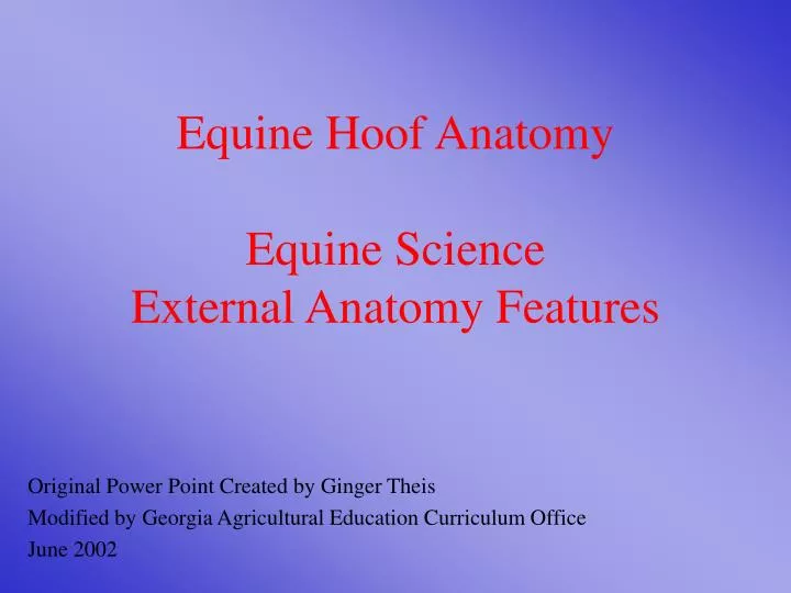 equine hoof anatomy equine science external anatomy features