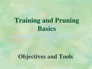 Training and Pruning Basics