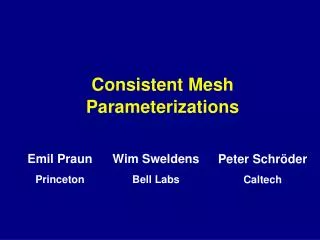 Consistent Mesh Parameterizations