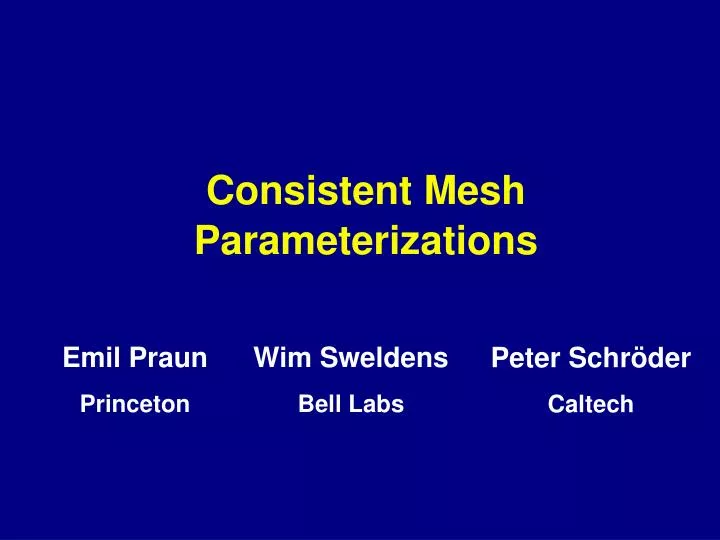 consistent mesh parameterizations
