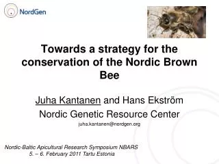 Towards a strategy for the conservation of the Nordic Brown Bee