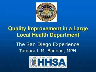 Quality Improvement in a Large Local Health Department
