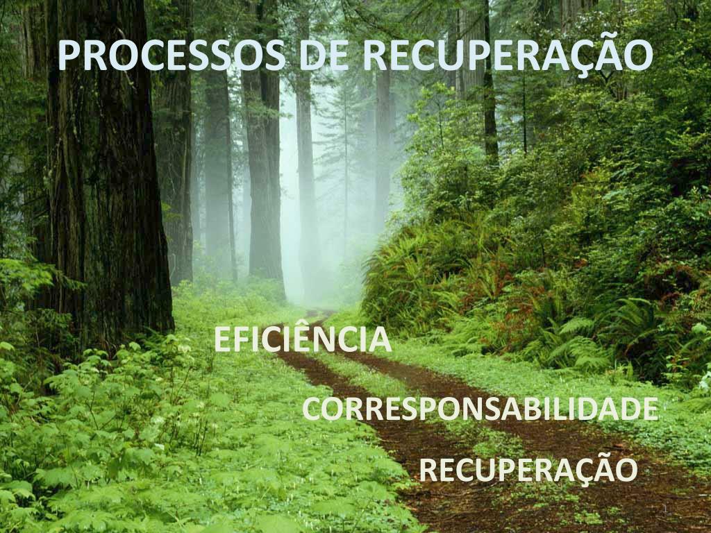 PPT - PROCESSOS DE RECUPERAÇÃO PowerPoint Presentation, free download ...
