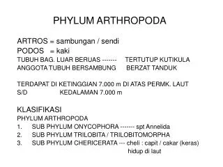phylum arthropoda
