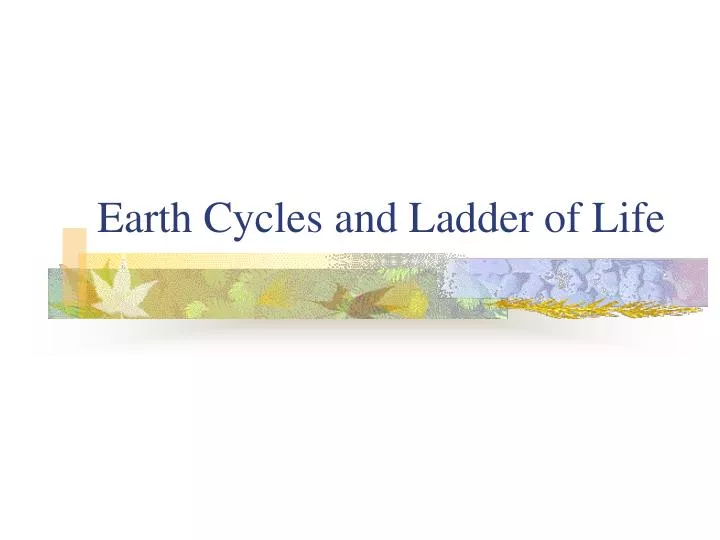 earth cycles and ladder of life