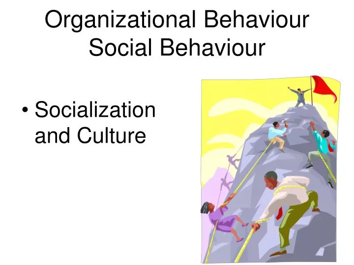 organizational behaviour social behaviour